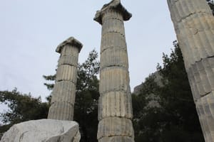 (Untitled)