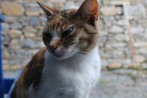 (Untitled)