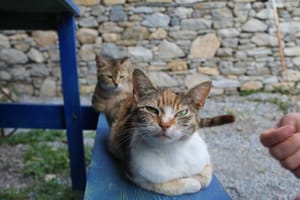 (Untitled)