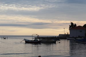 (Untitled)