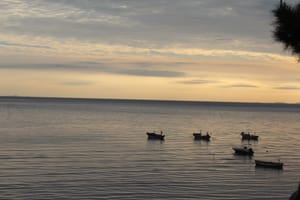 (Untitled)