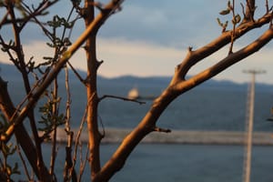 (Untitled)