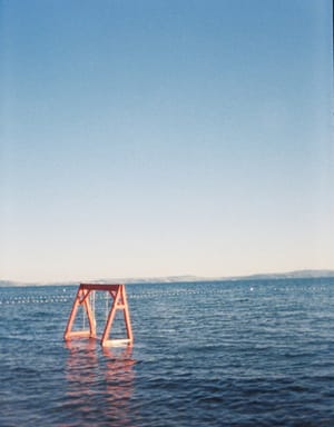 (Untitled)